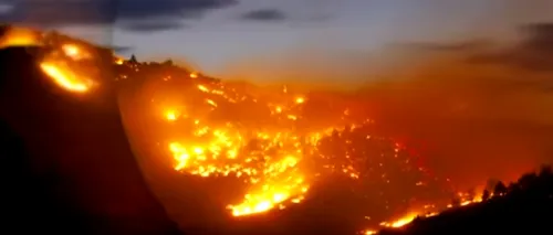 Incendiile din Pădurea Amazoniană | Președintele Braziliei anunță o reuniune a statelor sud-americane pentru stabilirea unei soluții - VIDEO