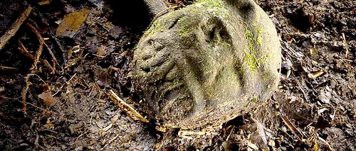 Descoperire unică a cercetătorilor: cea mai veche brățară din lume NU a fost realizază de strămoșii cunoscuți ai oamenilor, ci de o altă creatură controversată