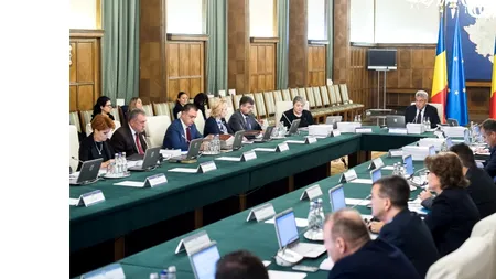 TVA split, ocolit și de firmele miniștrilor din Cabinetul Tudose. Turcan: E un semn că nici ei nu sunt de acord cu această metodă dementă 