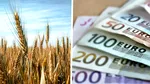 Fonduri europene pentru tinerii fermieri. Câte cereri s-au depus în prima zi