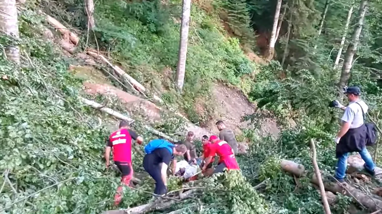 Sfârșit cumplit pentru un muncitor forestier din Argeş după ce a pierdut controlul drujbei cu care tăia un copac