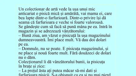 Bancul de joi | Colecționarul de ARTĂ și pisica amărâtă