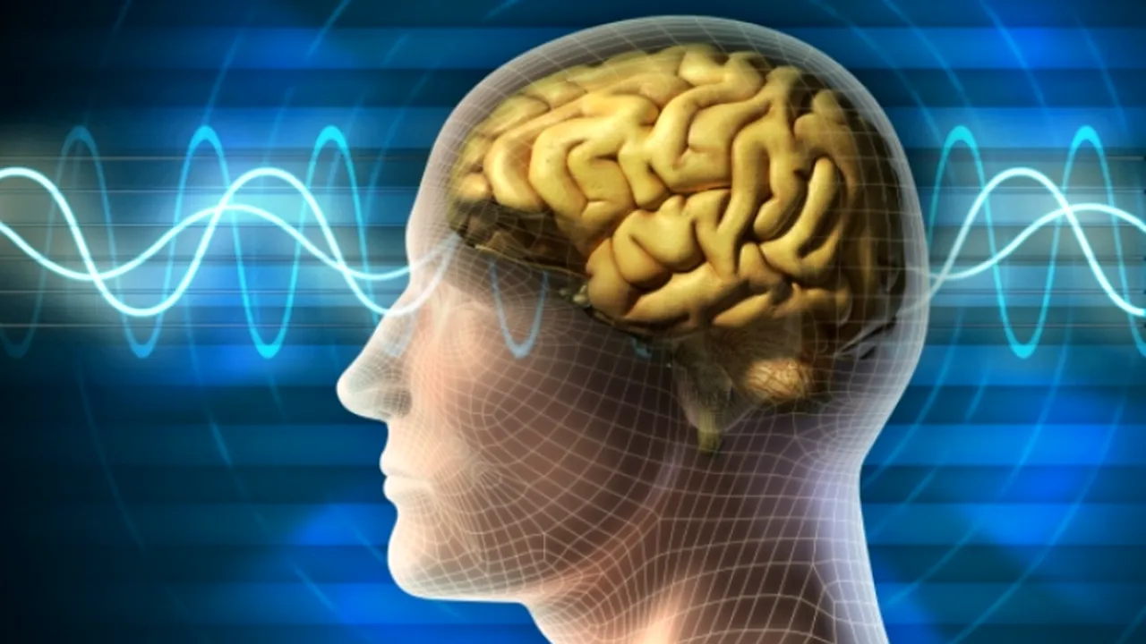 Cum ar putea fi regenerat creierul pacienților aflați în moarte clinică