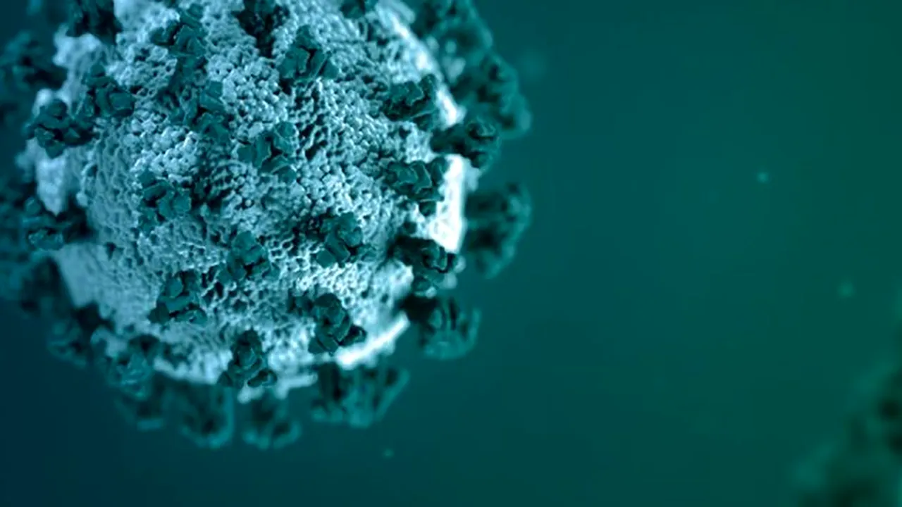 Platforma națională de informare: „Vaccinurile împotriva COVID-19 sunt sigure și eficiente!” Ce a arătat un studiu recent din SUA