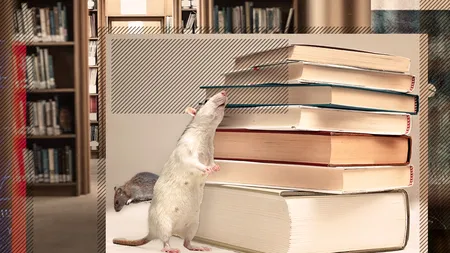 Guzganii culturii naționale