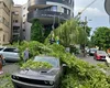 Furtuna a făcut din nou prăpăd în CAPITALĂ. În Otopeni, o femeie a fost ucisă de un acoperiș desprins. Sunt zeci de copaci rupți și mașini distruse