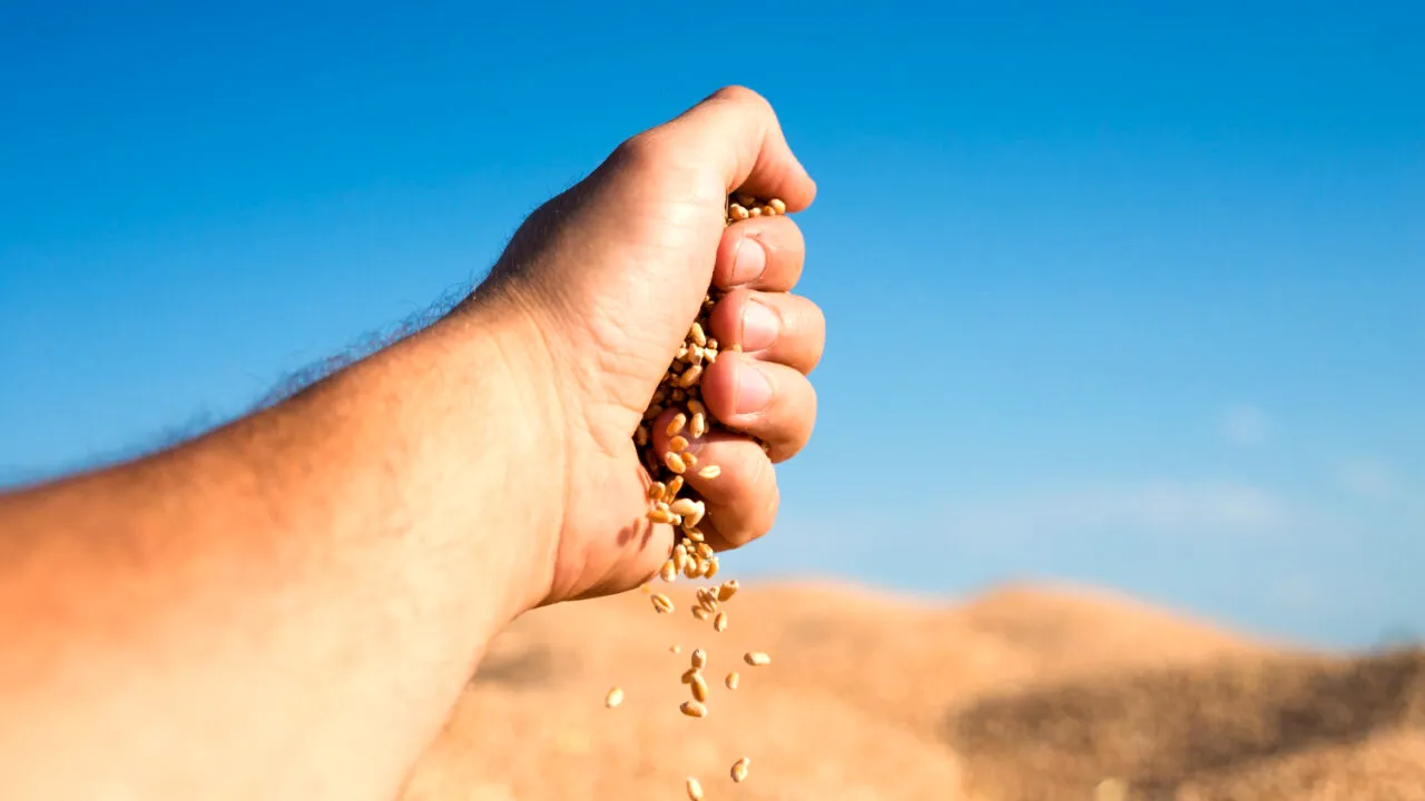 Un nou scandal de corupție zguduie Ucraina. Un deputat este anchetat pentru delapidarea producției agricole. Prejudiciul se ridică la 800.000 $