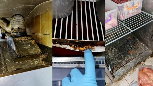 Insecte moarte, mizerie de nedescris și condiții insalubre pentru pregătirea alimentelor, găsite într-un cunoscut restaurant din București