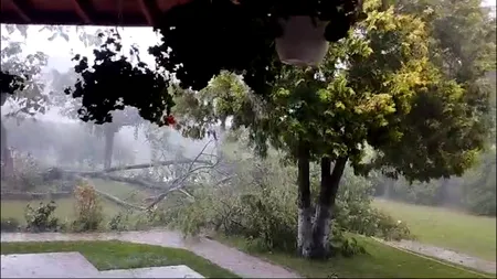 URGIA a venit peste ARGEȘ/Grindina și vijelia puternică au nimicit tot ce-au întâlnit în cale