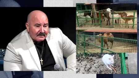 NUȚU Cămătaru are o adevărată grădină zoologică pe domeniul din cartierul Ferentari/Un cangur alb a evadat și s-a plimbat prin București