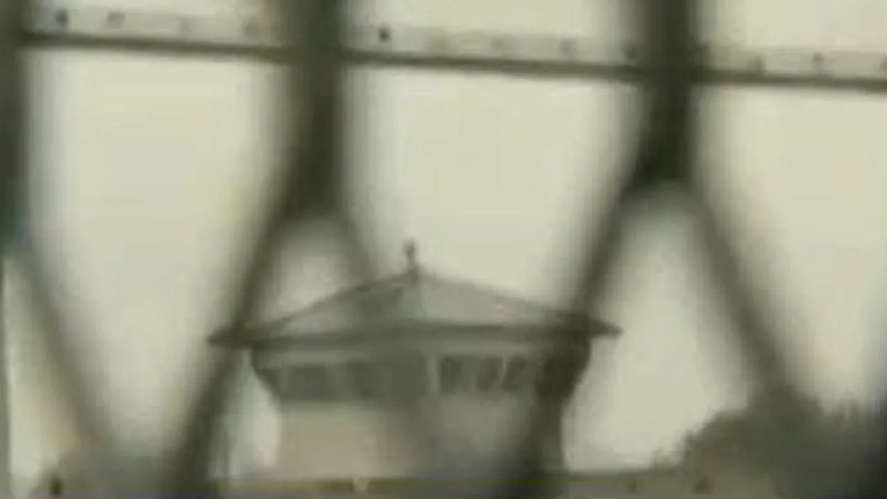 Victor Ciorbea propune un plan de grațieri. Cum răspunde ministrul Justiției