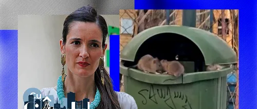 Ramona Porumb, viceprimar: „Șobolanii din Sectorul 1 seamănă cu bișonii, atât de mari sunt. Avem străzi unde nu se strâng gunoaiele o săptămână”