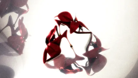 Cum să asortezi tocurile cu ținuta ta? 3 trucuri de modă! (P)