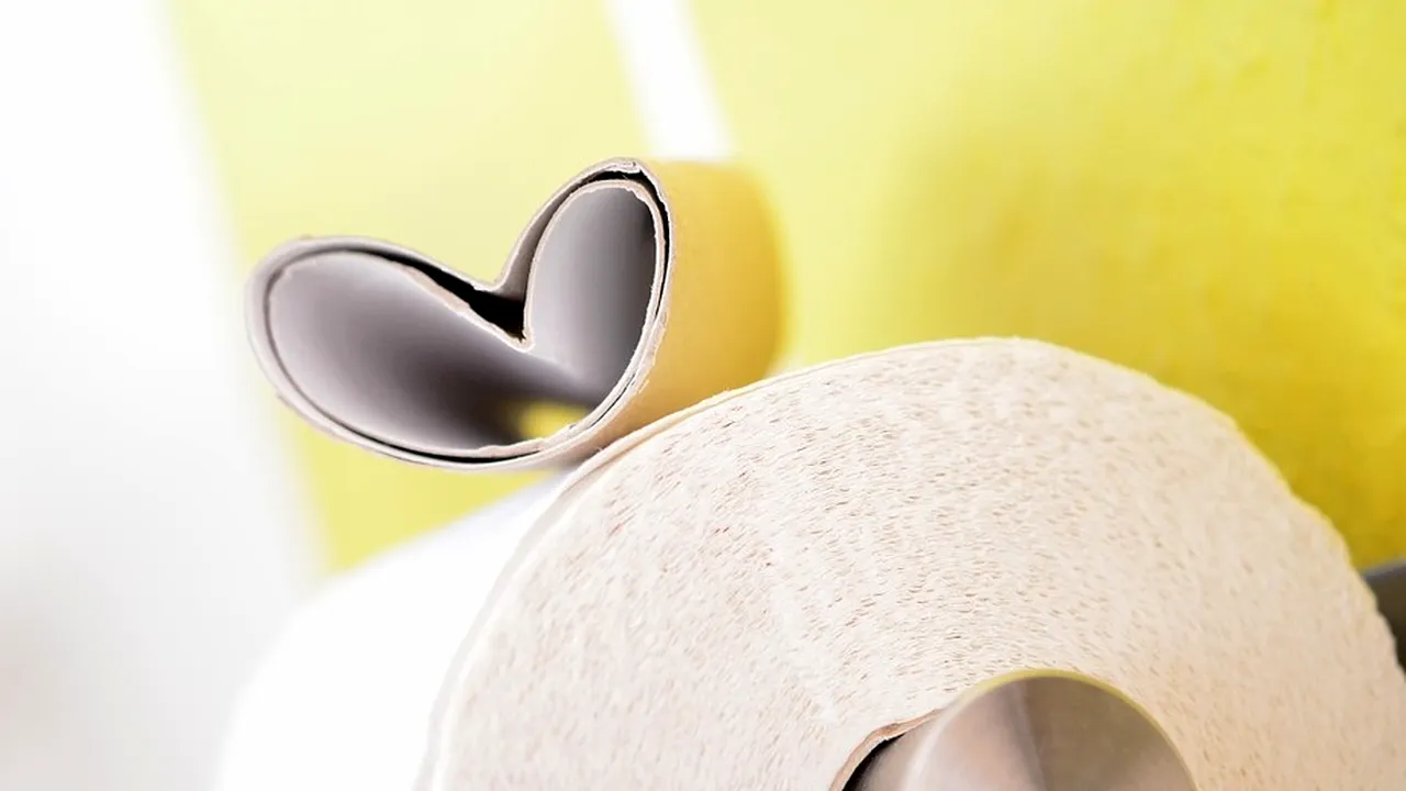 Motivul pentru care experții spun că nu ar trebui să folosim niciodată hârtie igienică 