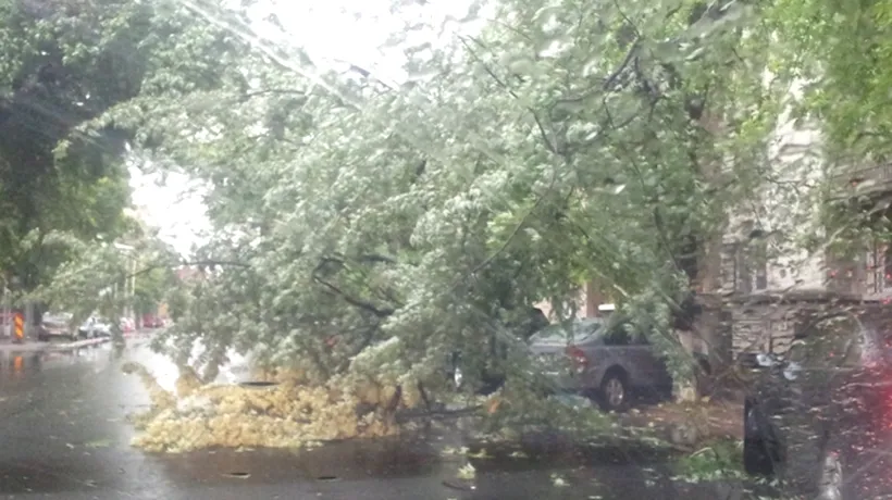 Traficul este blocat pe două benzi de pe Șoseaua Mihai Bravu, din cauza unui copac căzut