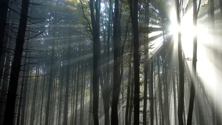 Vreme CALDĂ în weekend. Temperaturi de până la 17 grade Celsius
