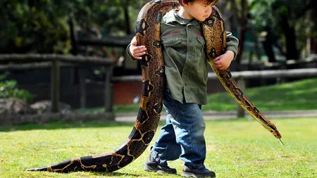 Micul îmblânzitor de șerpi. Dragostea unui copil de doi ani pentru reptile