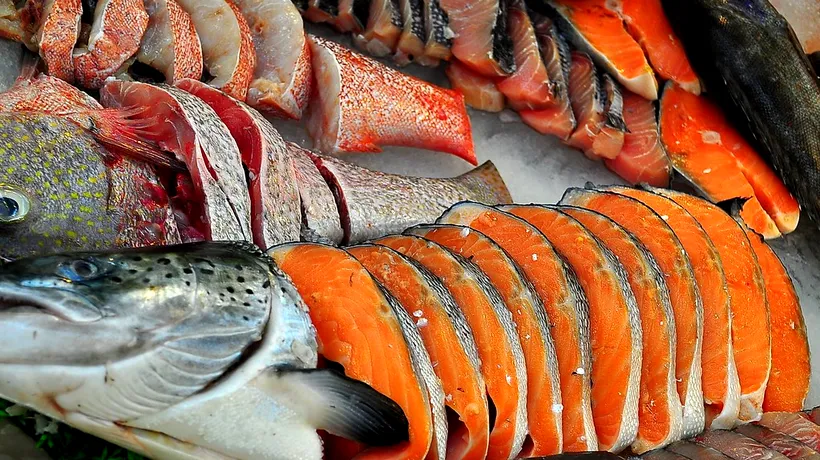 Somonul și FRAUDA alimentară, ce nu li se spune românilor! 40% din marfa vândută în pescării nu este ceea ce credem