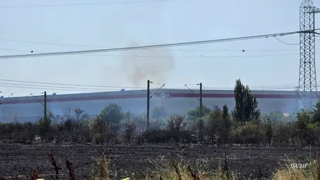 Un incendiu de vegetație a izbucnit în ILFOV. Autoritățile au intervenit cu 5 autospeciale pentru stingerea flăcărilor