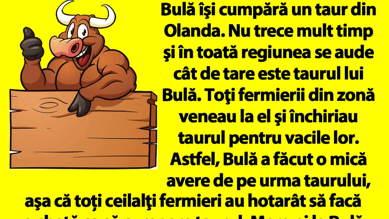 BANC | Bulă îşi cumpără un taur din Olanda. Nu trece mult timp şi în toată regiunea se aude cât de tare este taurul