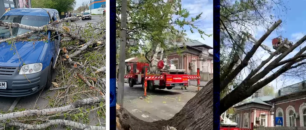 Vântul a făcut RAVAGII în București: Mai mulți copaci au căzut peste mașini / Panouri publicitare și elemente de construcție, luate pe sus