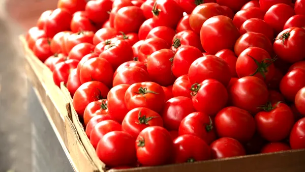 Unde au fost descoperite roșii cu Salmonella. Este o locație populară printre români