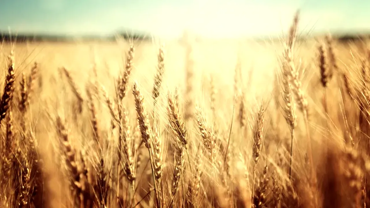 Serghei Lavrov: Rusia va asigura trecerea navelor cu cereale dacă Ucraina va demina apele de coastă