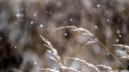 Cod galben de vânt în București, duminică. Intensificări ale vântului menținute până luni seară