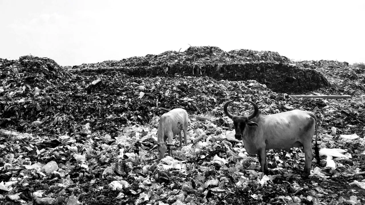 IMPLEMENTARE DECIZIE. Comisia Europeană a decis să notifice România și cere închiderea gropilor de gunoi ilegale, după decizia CJUE