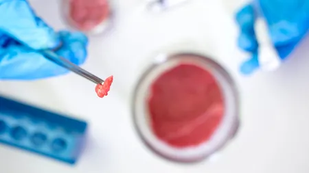 Cafeaua celulară și carnea cultivată în LABORATOR, tot mai aproape de realitate. Asociația Pro Consumatori răspunde la INOVAȚIILE alimentare