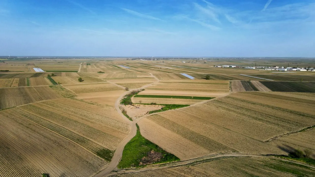 APIA primește cereri de plată pentru 2025 începând de luni, 3 martie/Ce documente trebuie să depună fermierii