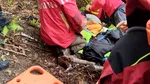 Noi detalii despre starea lui Alexandru, copilul de 5 ani din Sibiu, dispărut de acasă și găsit în viață după două nopți petrecute în pădure