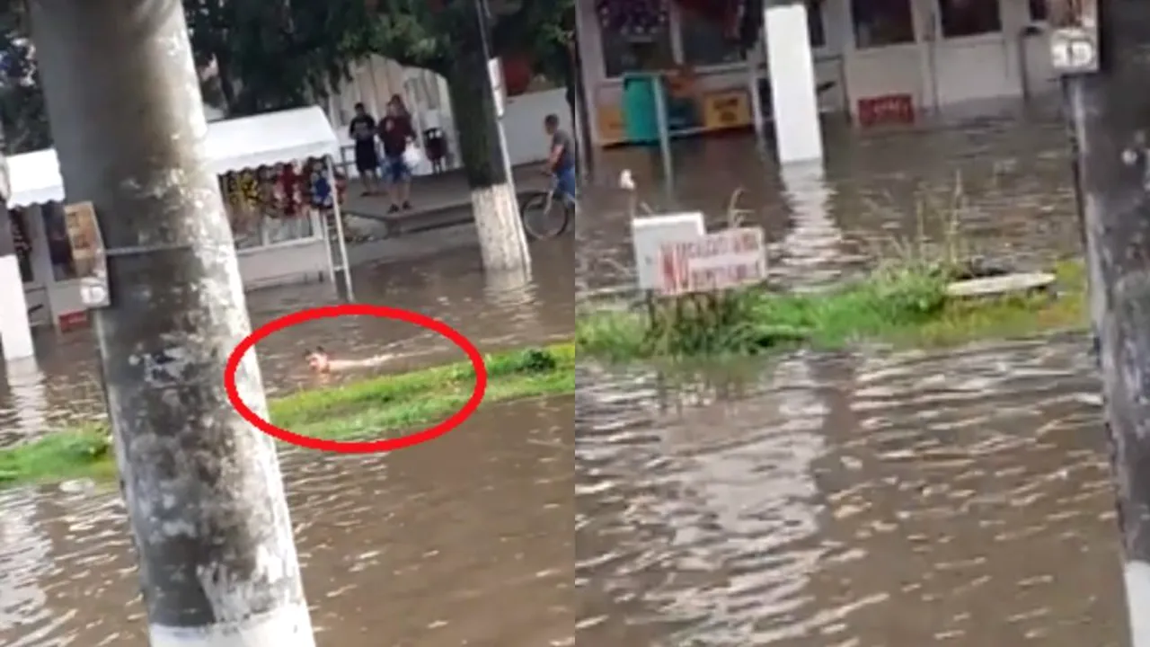 INUNDAȚII. Slobozia, o imensă piscină. Un bărbat a fost filmat în timp ce înota pe stradă | VIDEO