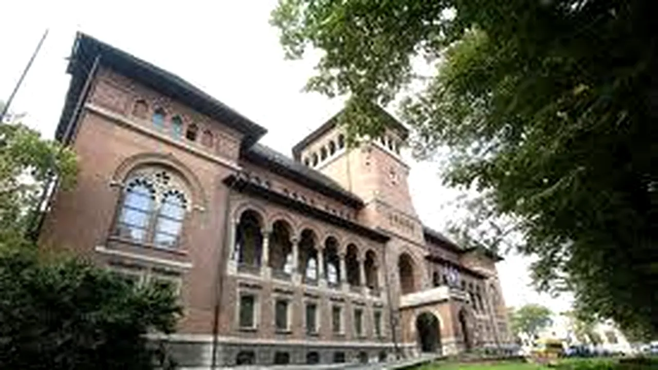 Muzeul Țăranului Român va fi consolidat din septembrie 2014. Lucrarea va costa 6 milioane de euro