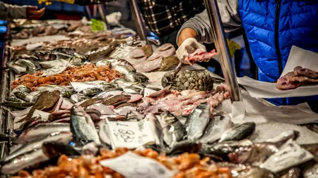 VIDEO | Sfaturile unui specialist toxicolog. Ce pește e bine să mâncăm pentru a nu ne îmbolnăvi