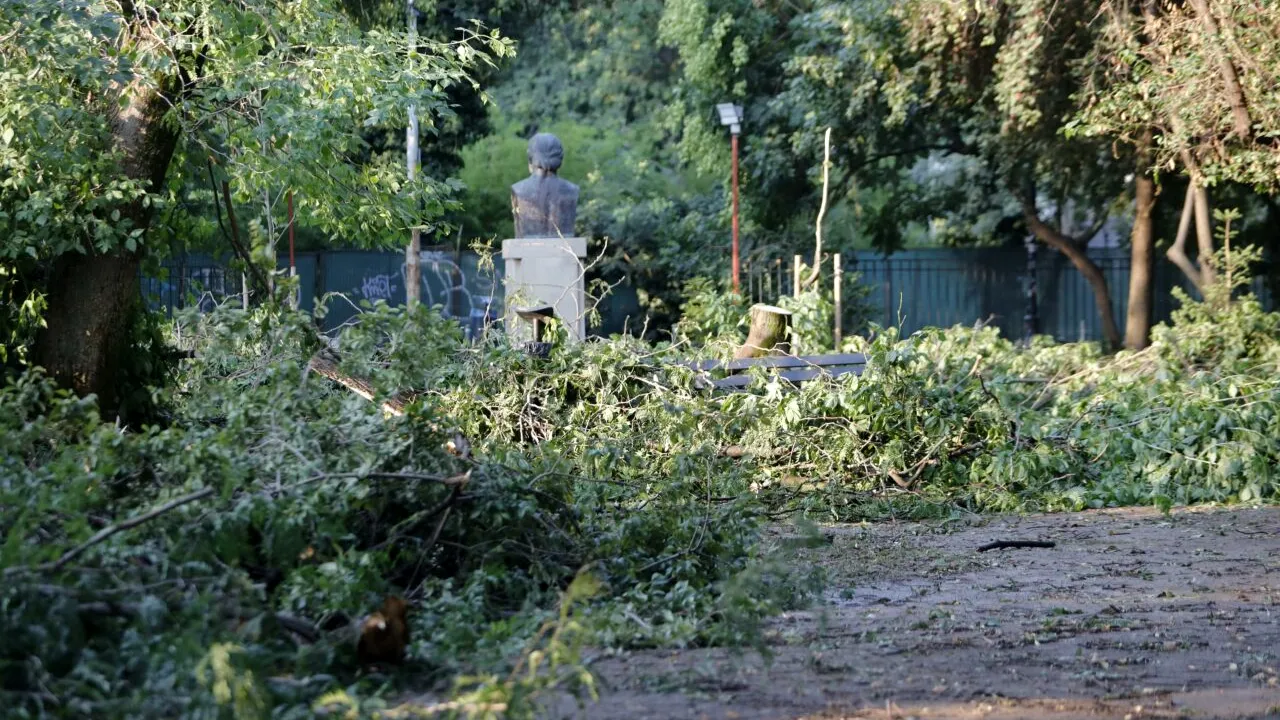Furtuna a făcut RAVAGII și în Parcul Grădina Icoanei din București. Copaci puși la pământ de vântul puternic