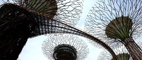 GALERIE FOTO: Pădurea de 50 de metri înălțime, cea mai nouă atracție turistică din Singapore