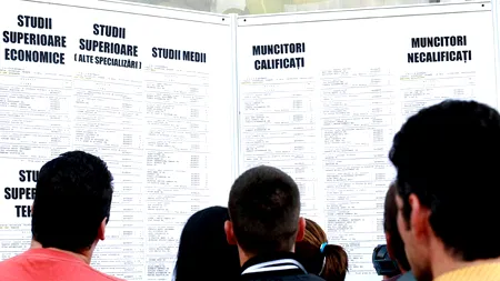 Ce au căutat anul acesta companiile care au făcut angajări. IT-știi, vedetele pieței muncii