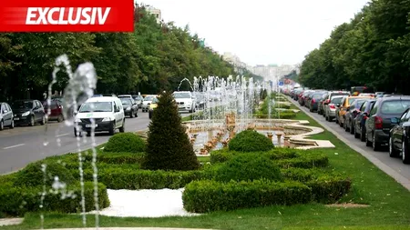 Amenajarea spațiilor verzi și monitorizarea video din sectorul 6 ajung la firma unei foste consiliere a președintelui Ion Iliescu