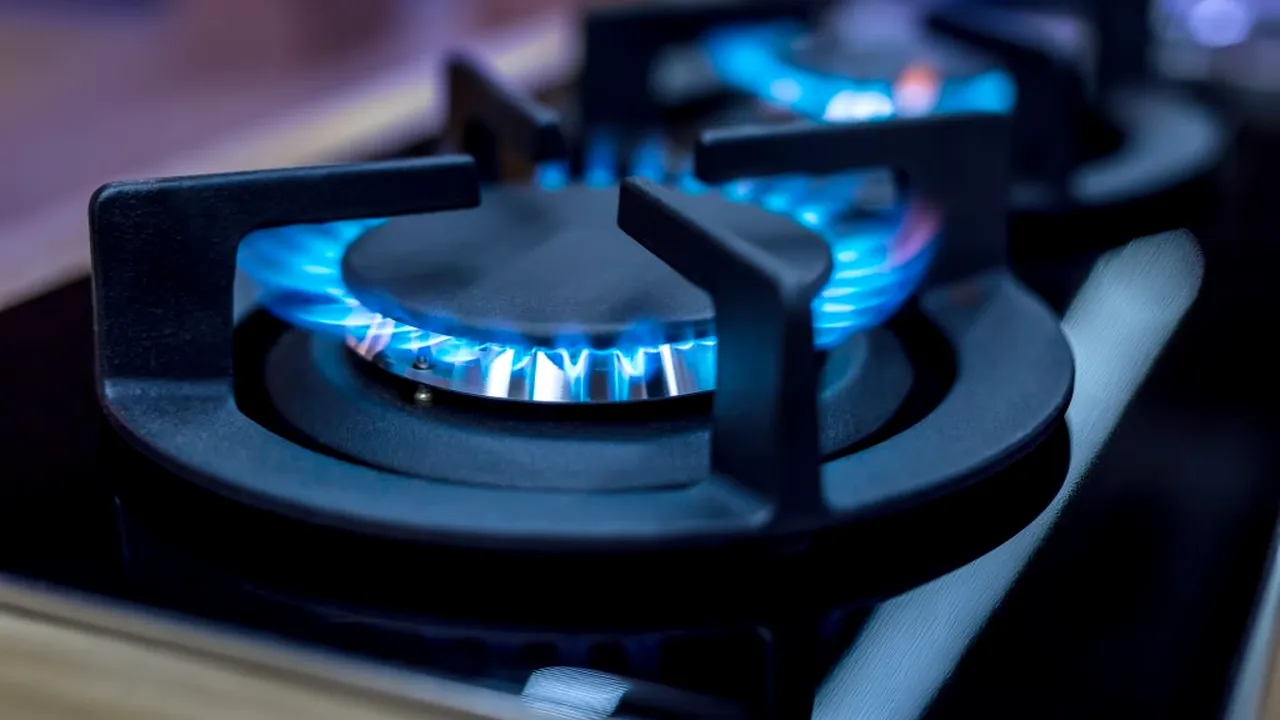 EXPLICAȚII. Ministrul Economiei explică de ce românii plătesc atât de mult pentru gazele naturale. Care este explicația