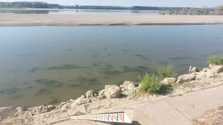 DUNĂREA, tot mai scăzută la Corabia, în Olt. Dunele de nisip, pericol navigație