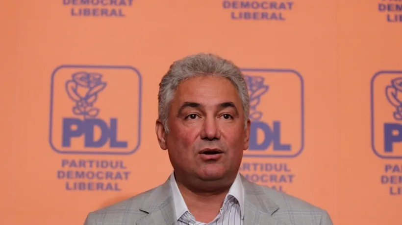 Adriean Videanu, președinte interimar al PDL București