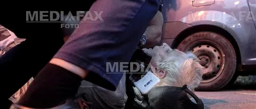 Protestatarul „Ceaușescu, încătușat în fața sediului PSD / Amenda primită - FOTO / VIDEO 