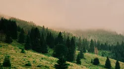 Apele minerale de la Bilbor fac minuni pentru cei care au probleme cu stomacul, ficatul sau fierea