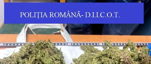 Doi bărbați au fost arestați preventiv după ce au fost prinși în flagrant când voiau să vândă 2,5 kilograme de muguri de cannabis. Câte droguri se consumă în România