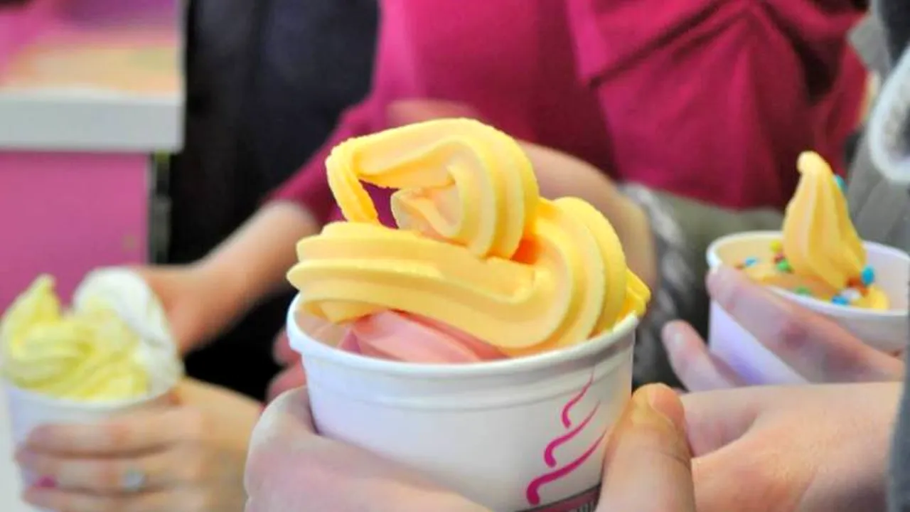 S-a întors din SUA și a adus cu ea un brand de iaurt înghețat care îi aduce 300.000 de euro pe an