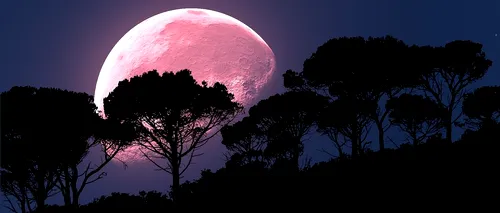 Superluna roz, un fenomen care va apărea pe cer în noaptea de 7 spre 8 aprilie