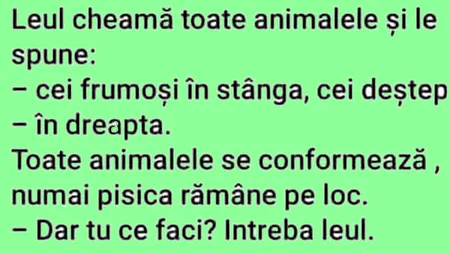BANCUL ZILEI | Leul, pisica și consiliul animalelor