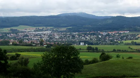 Orașul din Germania în care aproape un sfert dintre locuitori sunt români