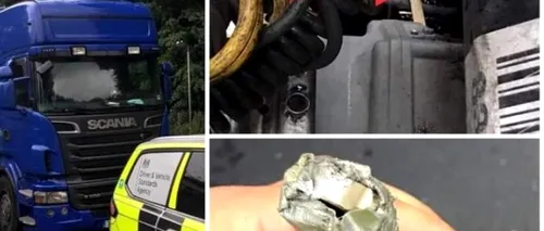 Șofer român de TIR, prins cu „maimuța la cutia de viteze: Le-a spus polițiștilor că a luat-o de la Grădina Zoologică